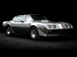 Pontiac Firebird Trans Am 6.6 L80 10th Anniversary Edition 1979 года
